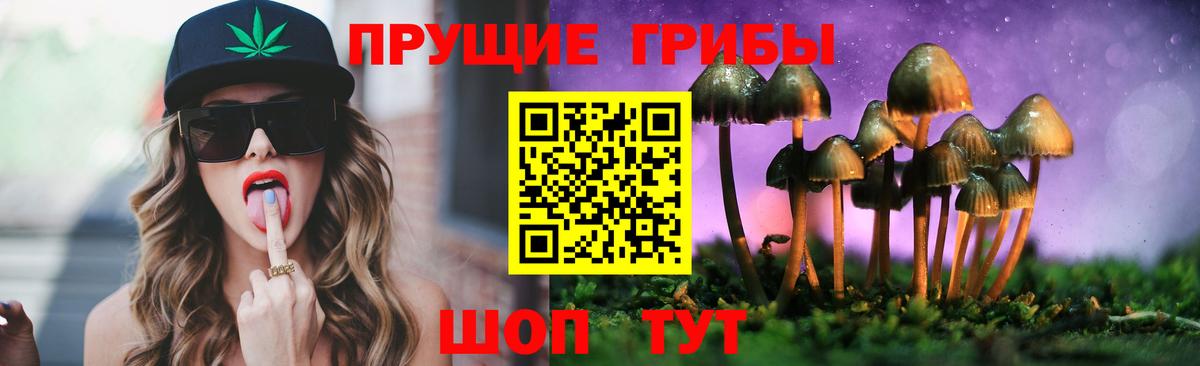 Саянск  наркотики  Галлюциногенные грибы GOLDEN TEACHER  Вход с VPN  Галлюциногенные грибы прущие грибы 
